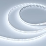 Лента светодиодная DOT-X192-10mm 24V White6000 (16 W/m, IP20, 5m) (Arlight, Открытый)