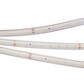 Лента светодиодная RTW 2-5000PS-50m 24V Cool 8K (2835, 80 LED/m, LUX) (Arlight, 6 Вт/м, IP67)
